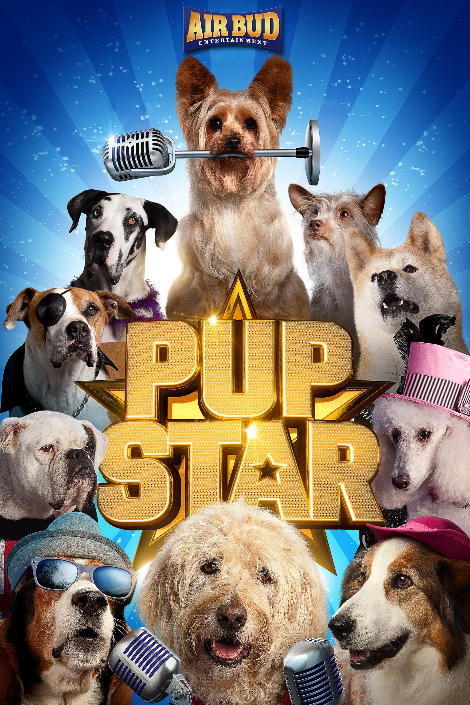 Постер Pup Star